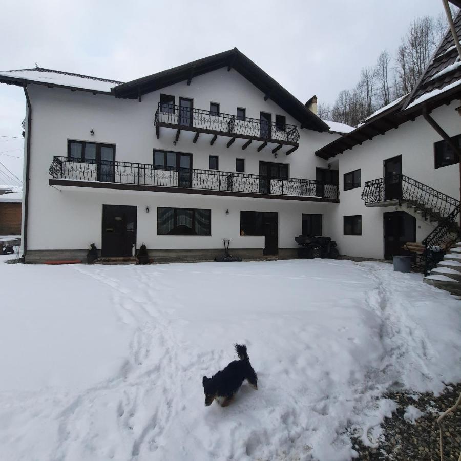 Casa Dana Olteanu Hotel Moeciu De Sus Buitenkant foto