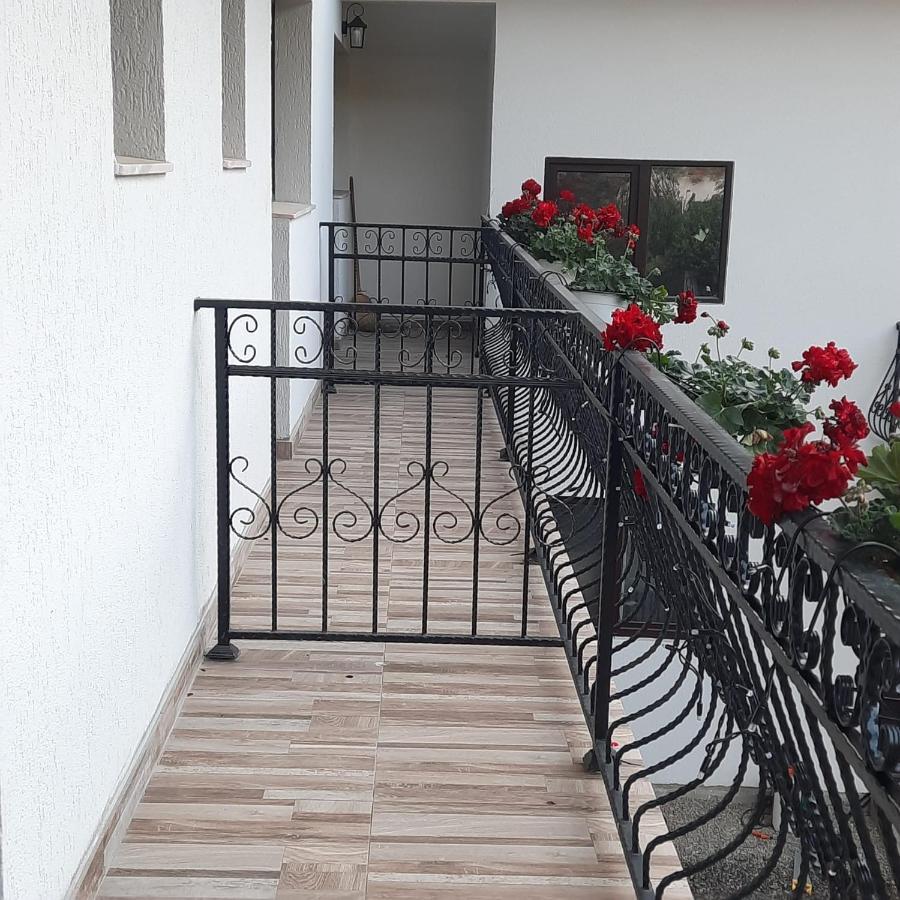 Casa Dana Olteanu Hotel Moeciu De Sus Buitenkant foto