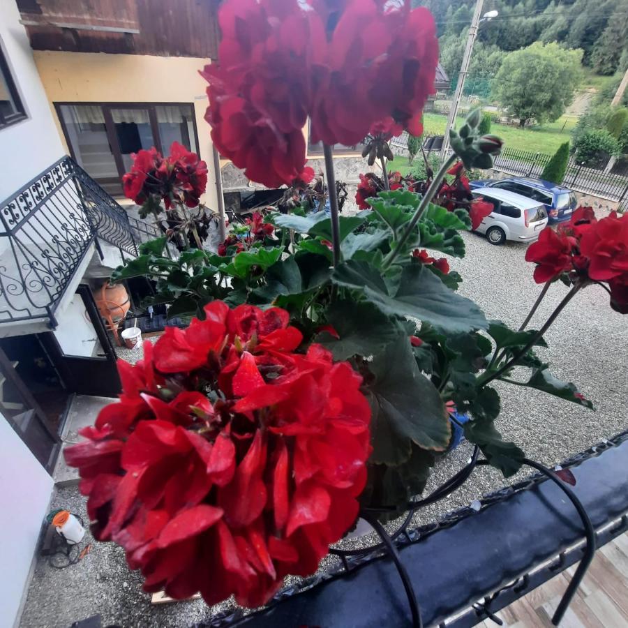 Casa Dana Olteanu Hotel Moeciu De Sus Buitenkant foto