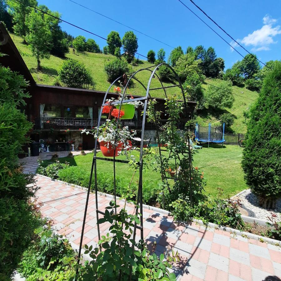 Casa Dana Olteanu Hotel Moeciu De Sus Buitenkant foto